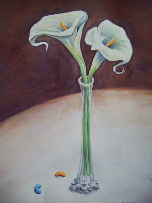 Arum Grace